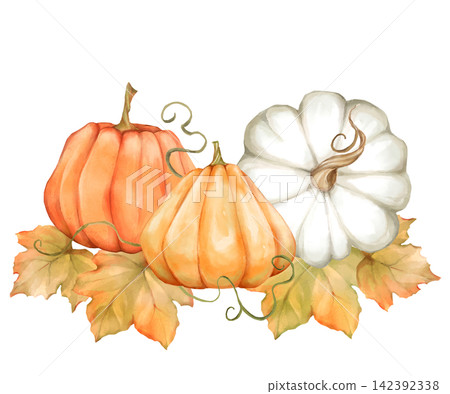 Hand-drawn autumn pumpkin and leaves illustration Hand-drawn autumn pumpkin and leaves illustration 142392338
