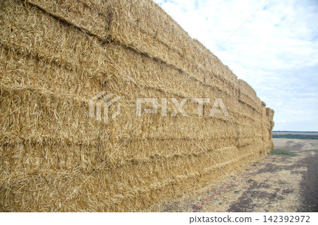 Straw bales stacked in a field under a cloudy sky during daylight Straw bales stacked in a field under a cloudy sky during daylight 142392972
