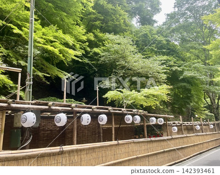 The riverside terraces and white lanterns of Kibune, Kyoto, stand out against the backdrop of the lush green mountains. 142393461