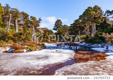 屋久島世界自然遺產:小花之江高海拔濕地(冬季) 屋久島世界自然遺產:小花之江高海拔濕地(冬季) 142393723