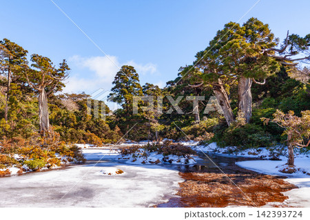 屋久島世界自然遺產:小花之江高海拔濕地(冬季) 屋久島世界自然遺產:小花之江高海拔濕地(冬季) 142393724