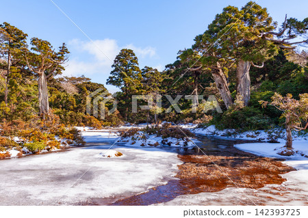 屋久島世界自然遺產:小花之江高海拔濕地(冬季) 屋久島世界自然遺產:小花之江高海拔濕地(冬季) 142393725