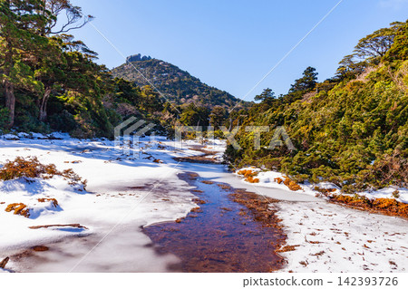 屋久島世界自然遺產：小花之江高海拔濕地（冬季） 142393726