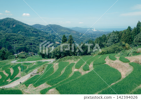 Green rice fields spread across the mountainside, with the sea visible in the distance. 142394026