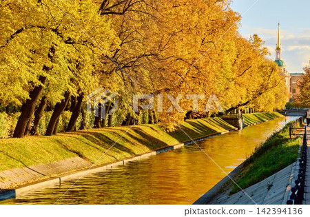 Lebyazhya kanavka embankment to the engineering palace, Trees with yellow leaves of the Summer garden in sunny autumn evening, Russia, Saint Petersburg Lebyazhya kanavka embankment to the engineering palace, Trees with yellow leaves of the Summer garden in sunny autumn evening, Russia, Saint Petersburg 142394136