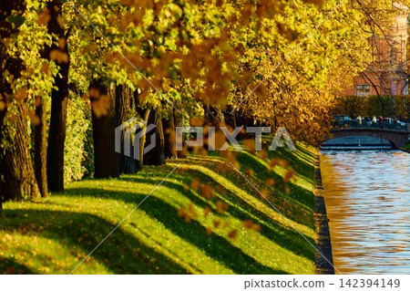 Lebyazhya kanavka embankment to the engineering palace, Trees with yellow leaves of the Summer garden in sunny autumn evening, Russia, Saint Petersburg Lebyazhya kanavka embankment to the engineering palace, Trees with yellow leaves of the Summer garden in sunny autumn evening, Russia, Saint Petersburg 142394149