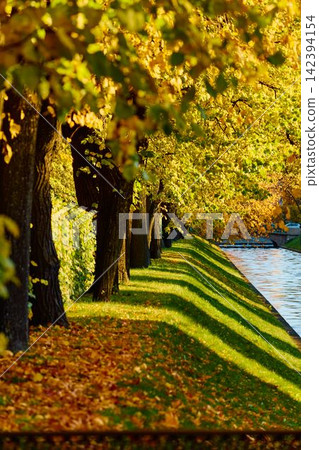 Lebyazhya kanavka embankment to the engineering palace, Trees with yellow leaves of the Summer garden in sunny autumn evening, Russia, Saint Petersburg Lebyazhya kanavka embankment to the engineering palace, Trees with yellow leaves of the Summer garden in sunny autumn evening, Russia, Saint Petersburg 142394154