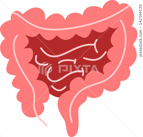 digestive tract illustration gut health and wellness 142394539