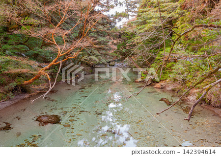 屋久島世界自然遺產,淀川谷(春) 屋久島世界自然遺產,淀川谷(春) 142394614
