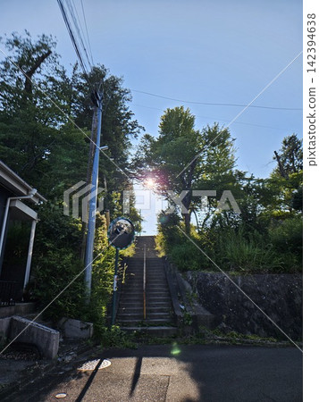 Stairs sunny day nature 142394638