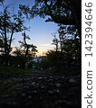 Sunset scenery 142394646