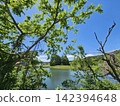 Scenery with a pond 142394648