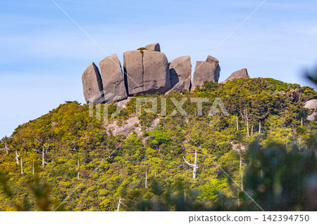 Yakushima World Natural Heritage Site: Tofu Rock (Spring) Yakushima World Natural Heritage Site: Tofu Rock (Spring) 142394750