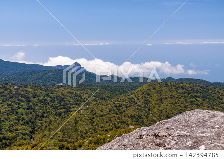 Yakushima World Natural Heritage Site: Spectacular view from Mt. Kuromidake (Spring) Yakushima World Natural Heritage Site: Spectacular view from Mt. Kuromidake (Spring) 142394785