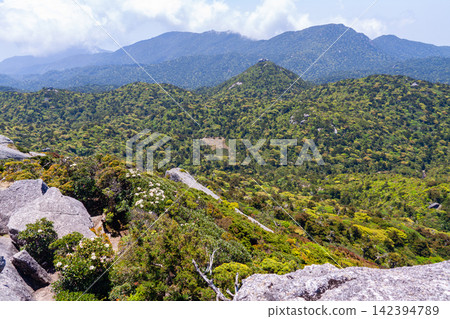 屋久島世界自然遺產：黑岳壯麗景色（春季） 142394789