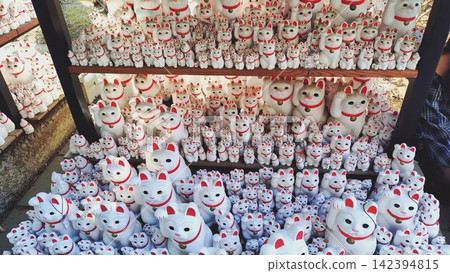 神社內排列著許多招財貓 神社內排列著許多招財貓 142394815