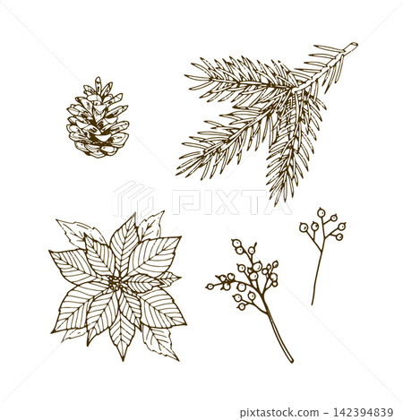 Pine Branch, Poinsettia, Berries and Pine Cone  142394839