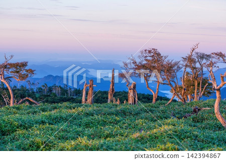 The mountaintop bamboo grass fields and dead trees at the summit of Mt. Odaigahara, bathed in the morning light, create a fantastical mountain landscape with a sea of clouds stretching out before them. The mountaintop bamboo grass fields and dead trees at the summit of Mt. Odaigahara, bathed in the morning light, create a fantastical mountain landscape with a sea of clouds stretching out before them. 142394867