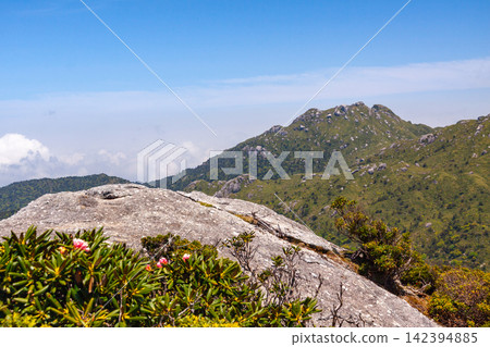 屋久島世界自然遺產:黑岳壯麗景色(春季) 屋久島世界自然遺產:黑岳壯麗景色(春季) 142394885