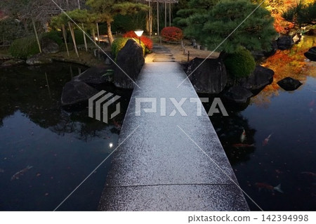 A Japanese garden illuminated at night, with a stone bridge crossing a pond and koi swimming in it. A Japanese garden illuminated at night, with a stone bridge crossing a pond and koi swimming in it. 142394998