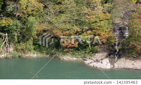 山谷中的秋葉和溪流景色 山谷中的秋葉和溪流景色 142395463