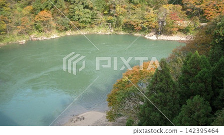 山谷中的秋葉和溪流景色 山谷中的秋葉和溪流景色 142395464