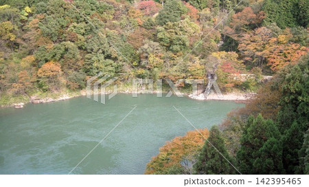 Autumn foliage in the valley and scenery of the stream Autumn foliage in the valley and scenery of the stream 142395465