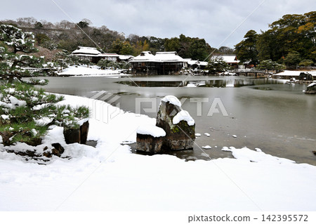 彥根城與日本庭園:冬日里的國寶 彥根城與日本庭園:冬日里的國寶 142395572