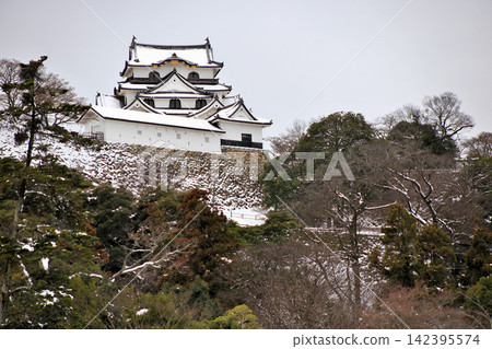 彥根城與日本庭園:冬日里的國寶 彥根城與日本庭園:冬日里的國寶 142395574