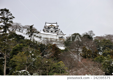 彥根城與日本庭園:冬日里的國寶 彥根城與日本庭園:冬日里的國寶 142395575