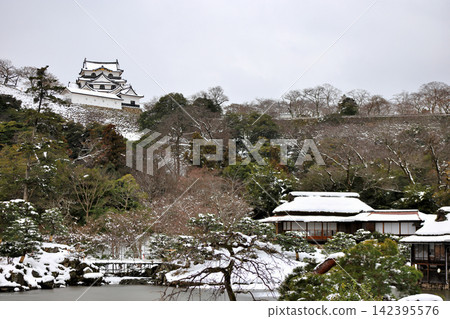 彥根城與日本庭園：冬日里的國寶 142395576