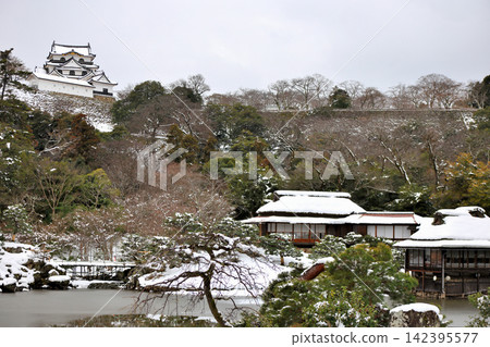 彥根城與日本庭園:冬日里的國寶 彥根城與日本庭園:冬日里的國寶 142395577