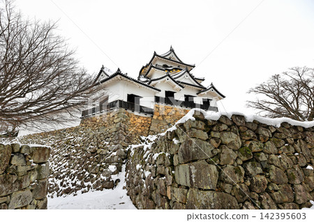 彥根城與日本庭園:冬日里的國寶 彥根城與日本庭園:冬日里的國寶 142395603