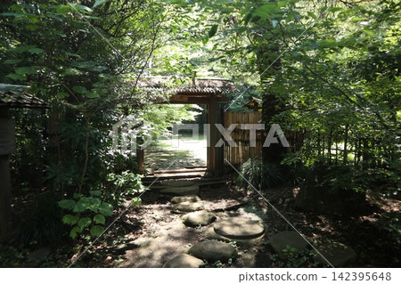 Sanraku Park, Koganei City Sanraku Park, Koganei City 142395648
