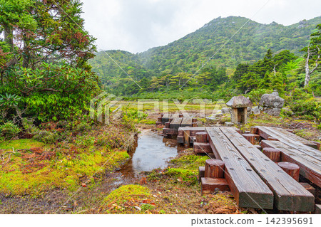 Yakushima World Natural Heritage Site: Mt. Kuromidake and Hananoe River (Summer) Yakushima World Natural Heritage Site: Mt. Kuromidake and Hananoe River (Summer) 142395691