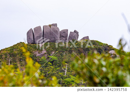 Yakushima World Natural Heritage Site - Tofu Rock (Summer) Yakushima World Natural Heritage Site - Tofu Rock (Summer) 142395758