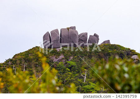 屋久島世界自然遺產 - 豆腐岩(夏季) 屋久島世界自然遺產 - 豆腐岩(夏季) 142395759