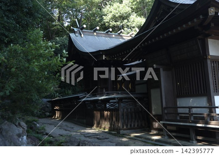 小金井市的努庫伊神社 小金井市的努庫伊神社 142395777