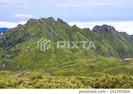 Yakushima World Natural Heritage Site: The majestic view of Mt. Nagata (Summer) Yakushima World Natural Heritage Site: The majestic view of Mt. Nagata (Summer) 142395884