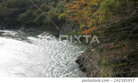 荒川峽谷的秋葉景色 荒川峽谷的秋葉景色 142395957