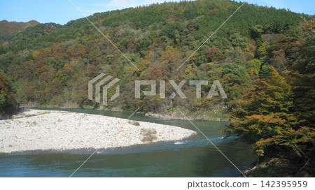 荒川峽谷的秋葉景色 荒川峽谷的秋葉景色 142395959