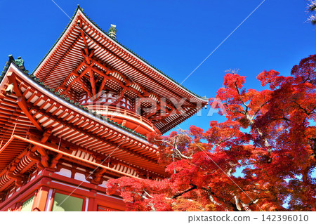 Autumn in Naritasan Park, Chiba Prefecture: Autumn leaves and the Great Peace Pagoda Autumn in Naritasan Park, Chiba Prefecture: Autumn leaves and the Great Peace Pagoda 142396010
