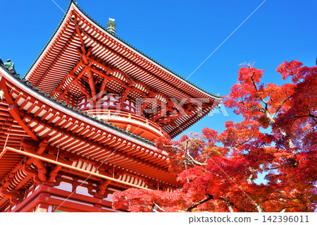千葉縣成田山公園的秋天:紅葉與和平大塔 千葉縣成田山公園的秋天:紅葉與和平大塔 142396011
