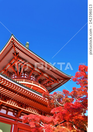 千葉縣成田山公園的秋天:紅葉與和平大塔 千葉縣成田山公園的秋天:紅葉與和平大塔 142396013