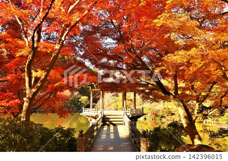 Autumn at Naritasan Park in Chiba Prefecture 142396015