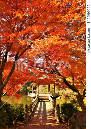 Autumn at Naritasan Park in Chiba Prefecture 142396021