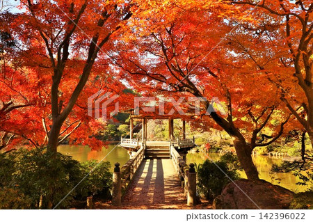 Autumn at Naritasan Park in Chiba Prefecture Autumn at Naritasan Park in Chiba Prefecture 142396022
