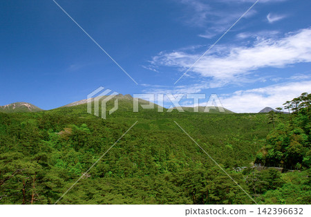 鹿兒島縣:赤松林和霧島山脈 鹿兒島縣:赤松林和霧島山脈 142396632