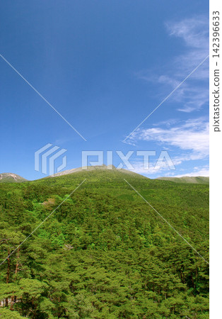 鹿兒島縣:赤松林和霧島山脈 鹿兒島縣:赤松林和霧島山脈 142396633