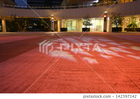 Toyohashi City Downtown Square - Illuminated Maple Leaves 142397142